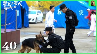 《警花与警犬/PoliceBeauty and K9》40：90后警花通过与警犬的身心互动、共同打击犯罪、最终实现心灵成长和人生蜕变的故事（主演于和伟、侯梦莎、黄梦莹）| 公安青春励志剧