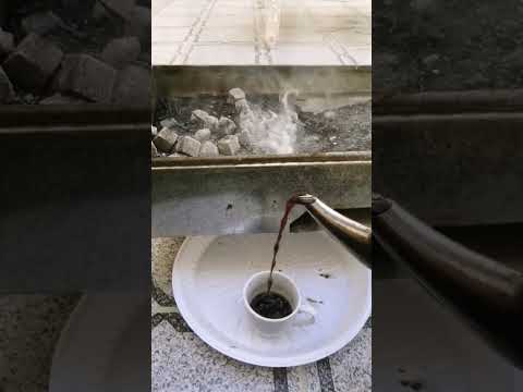 الجبنه تنتنا القهوة البكري هدندوه ادروبات Youtube 