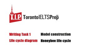 IELTS Writing Task 1 Academic - Life cycle - Honeybee IELTS Writing Task 1 Academic - Life cycle - Honeybee