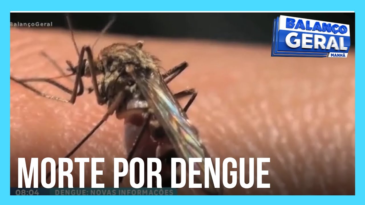 Cidade de São Paulo registra a primeira morte por dengue em 2024