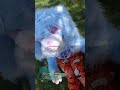 Try Again (repost from an old account) #furry #furrydog #fursuit #fursuiter #fursuiting