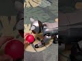Jumpy with DogsLife