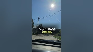 تلاوة عطرة لآيات من كتاب الله #القرآن_الكريم #القرآن #المصحف #الله #الدعاء #foryou #coran #viral