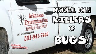 Arkansas Exterminators | Cabot, AR