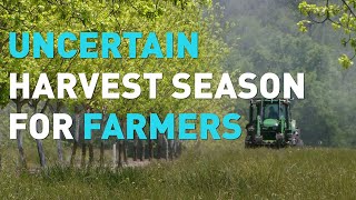 COVID-19: Uncertain harvest season for U.S. farmers