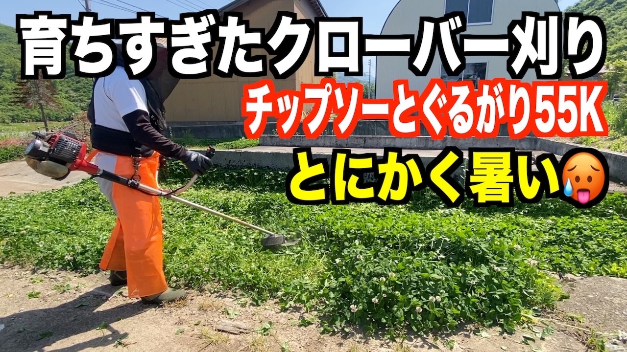 暑いけど育ちすぎたクローバーを刈るぐるがり使い!2026-05-16(土)武七の草刈り日記 mowing