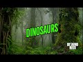 Dinosaurs with Rachel Ignotofsky