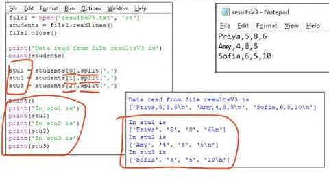 How to read a text file into a Python program