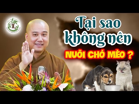 Video: Bạn Có Thể Giúp Con Mình Vượt Qua Nỗi Sợ Chó Bằng Cách Nào?