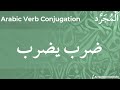 Arabic Verb Conjugation ضرب يضرب 