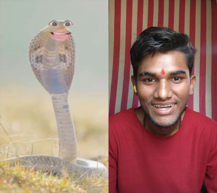 aur main chutiya😂 #comedy #funny #memes #funnyvideo #snake #shortvideo ...