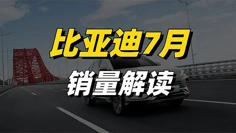 比亚迪7月销量解读：增长乏力？方程豹降价能拯救高端之路吗 - 天天要闻