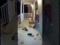 Cute but chaotic 😳🐾Caught on camera in the funniest way. 😂
