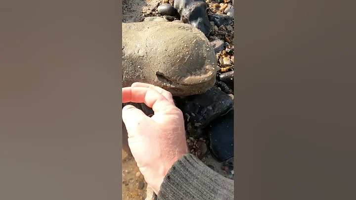 You Won't Believe What's Inside This Rock #shorts