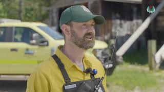 Careers in Forestry - Forester