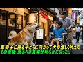 車椅子に座る子どもに向かって犬が激しく吠えた──その直後、恐るべき真実が明らかになった。#感動ストーリー #日本#ゆっくり解説