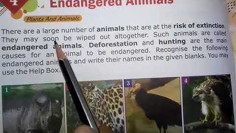 Class 3 General Knowledge