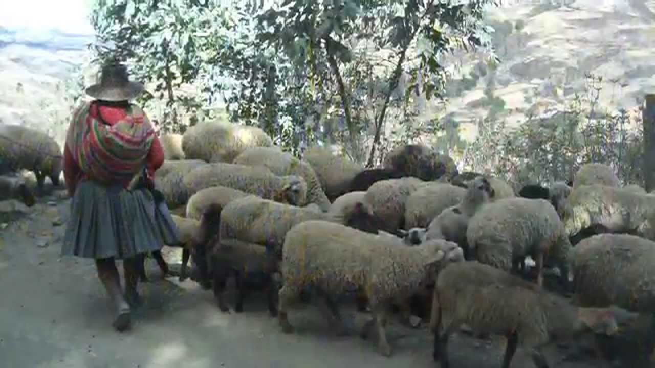 2015 Smithsonian Folklife Festival Teaser Video
