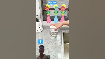 hộp đựng nước rửa chén thông minh dạng nhấn tự động