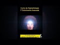 El secreto que los colorimetristas NO quieren que sepas #pigmentologia