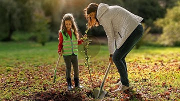 Luminus Forest in One Day - 7 februari 2021