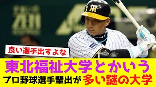 東北福祉大学とかいうプロ野球選手輩出が多い謎の大学【なんJなんG野球反応】