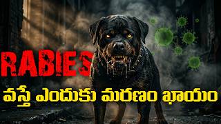 What Really Happens When You Get Rabies? | Rabies Explained