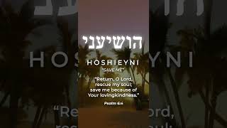 Hebrew Word of the Week: Hoshieyni