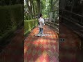 Darjeeling zoo #part 1 #love #animals #nature #lover #nothingimposibleinthisworld