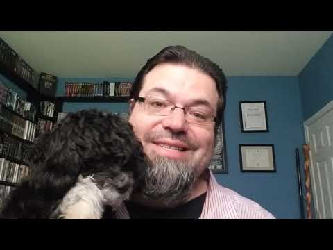 This puppy will teach you the most important Cybersecurity lesson there is.