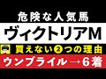 #1662【危険な人気馬 NHKマイルC 2024】⚠️ウンブライル6着 指名! ナミュールなど人気上位5頭の血統と前走の考察 買えない1つの理由 にしちゃんねる 馬Tube