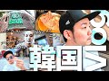 【韓国Vlog】アラサーゲイの韓国の楽しみ方【買い物│ポテンツァ│肉】