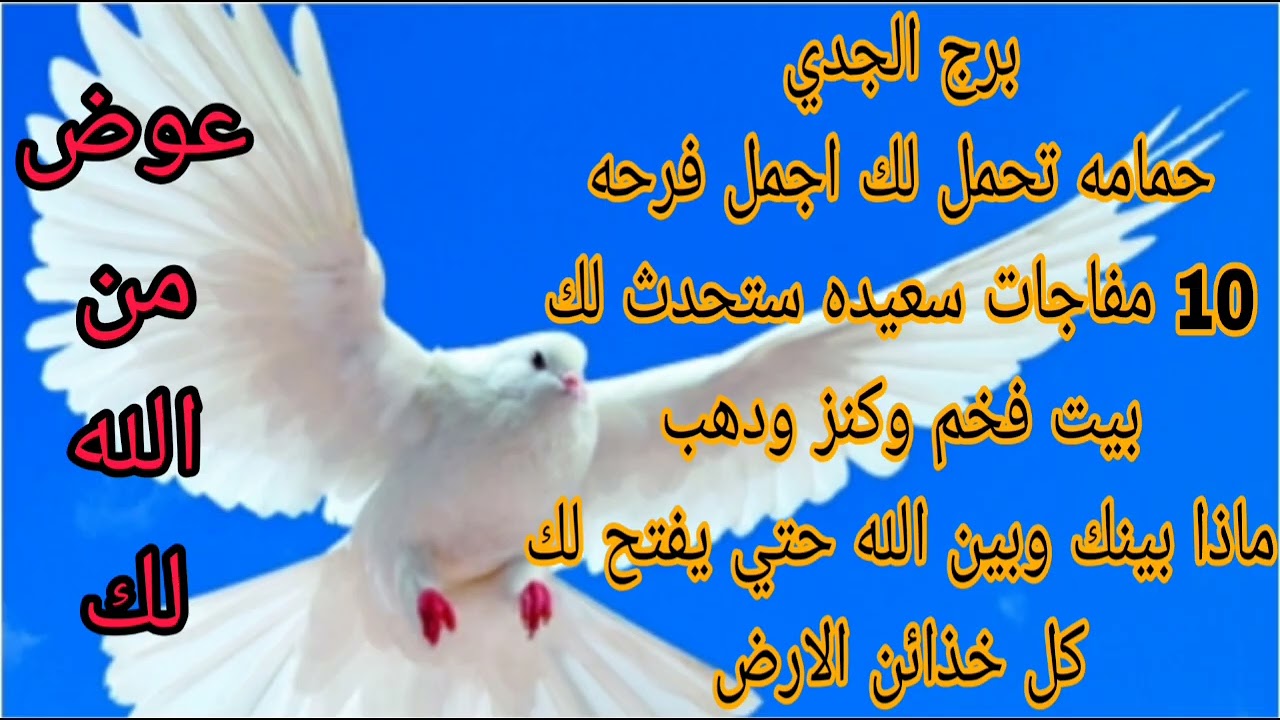 برج الجدي 29 اغسطس2025//حمامه تحمل لك 10 مفاجات 💫ماذا بينك وبين الله حتي يفتح لك كل خذائن الارض 