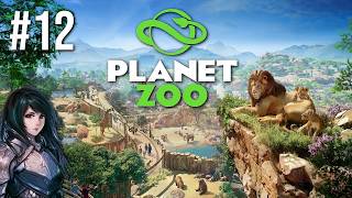 Zagrajmy w Planet Zoo (PS5) [Tryb Kariery] - Park Safari przy Wielkiej Kalderze #12