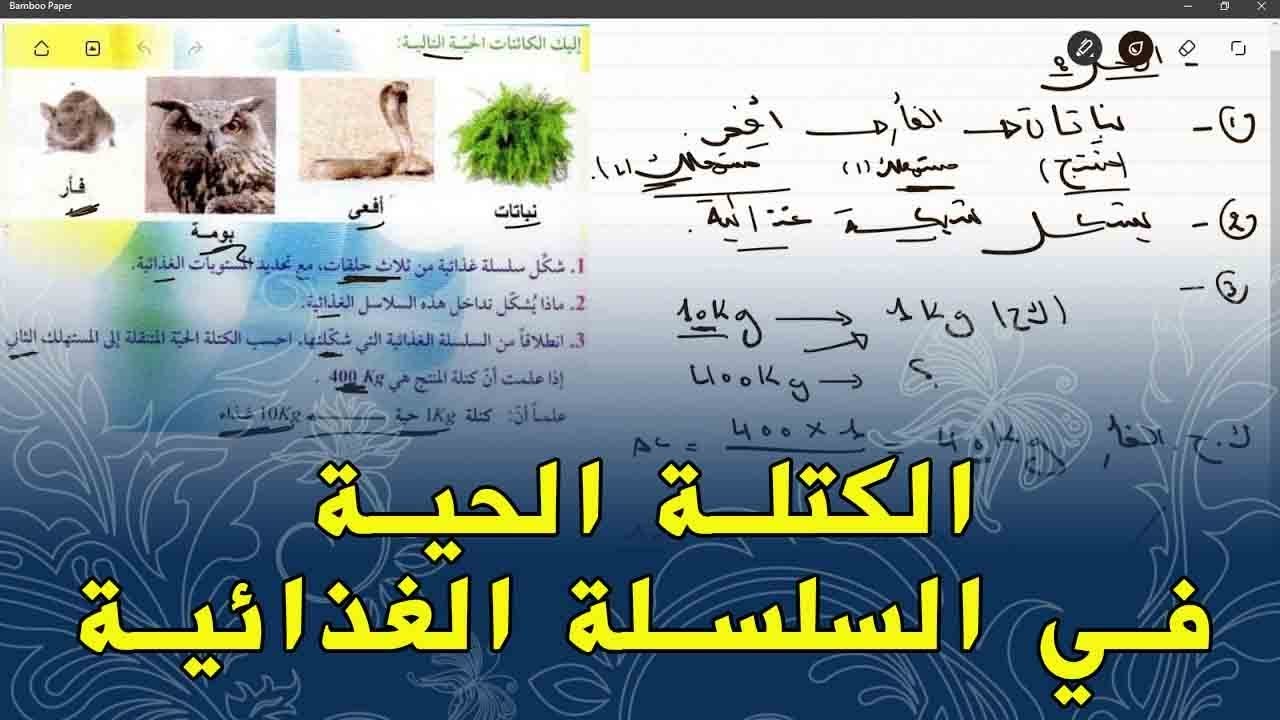 علوم طبيعية الثانية متوسط حساب الكتلة الحية للسلسلة الغذائية