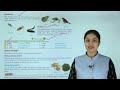 Ch 1 | Learn Well Books | Science | Class 06 | Food : Where Does It Come Frome | For children