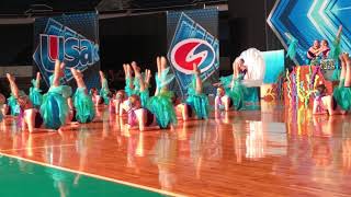 ANHS Dance Team Mermaids 2018