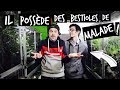 LA PLUS BELLE REPTILE-ROOM DE FRANCE ?-TOOPET