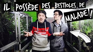 LA PLUS BELLE REPTILE-ROOM DE FRANCE ?-TOOPET