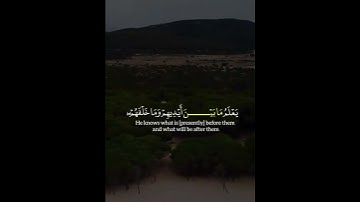 (الله لا اله الا هو الحي القيوم)#قران_كريم#ياسر_الدوسري#سورة_البقرة#آية_الكرسي.