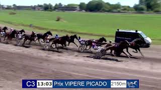 Vidéo de la course PMU PRIX VIPERE PICADO