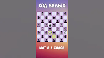 🐘 33 слона на ШАХМАТНОЙ доске. Мат в 6 ходов #chess  #chesspuzzle  #shortsvideo