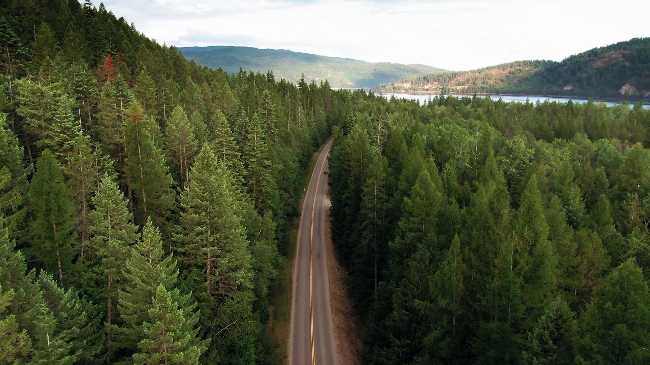 4k Videos Ultra Hd Forest Road Background Videos Noncopyrighted Videos Youtube 4k Videos Ultra Hd Forest Road Background Videos Noncopyrighted Videos Youtube