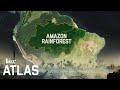 The destruction of the amazon explained