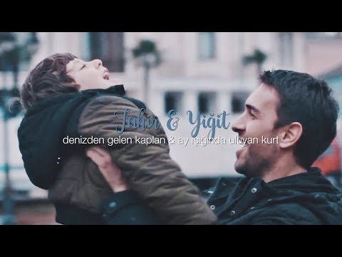 Tahir & Yiğit | ay ışığında uluyan kurt & denizden gelen kaplan