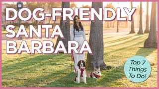 7 Dog Friendly Things To Do in Santa Barbara, California