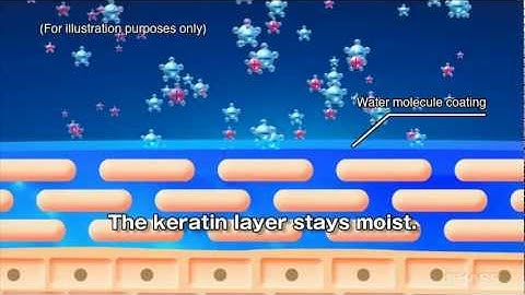 Skin Moisture Retention Mechanism Employing Plasmacluster Technology