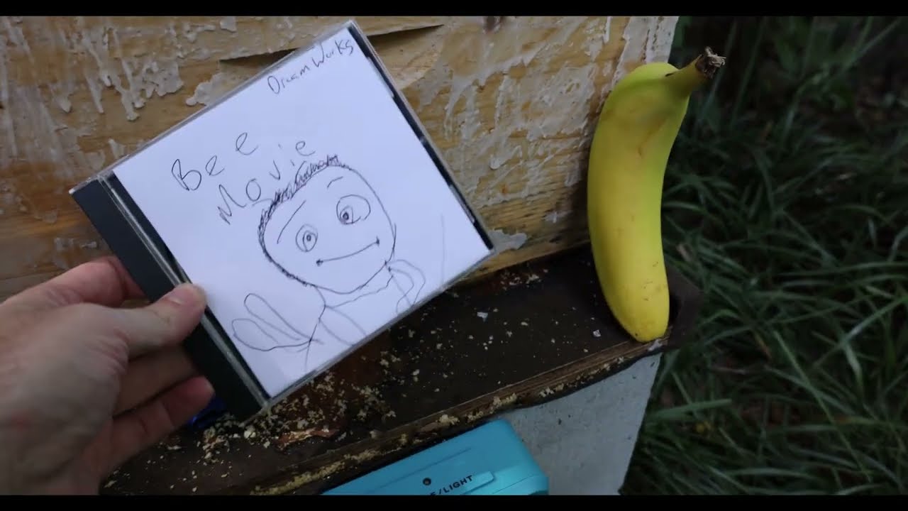 Bees React to Bee Movie (Season Finale) - Season 1, Episode 34