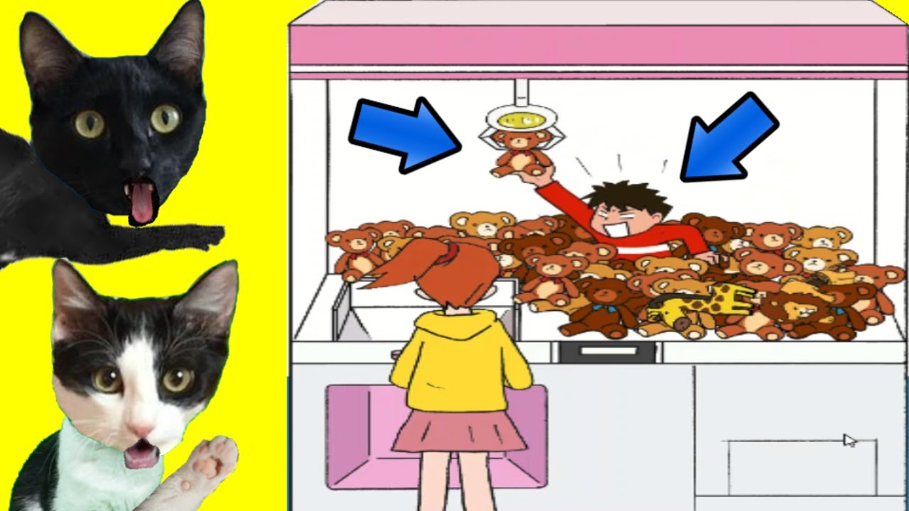 Bromas en máquina de la garra jugando con gatos Luna y Estrella en Dodge The Prank  Videos de gatos