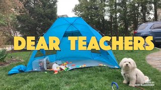 'Dear Teachers' (A Note From Quarantine Home School)